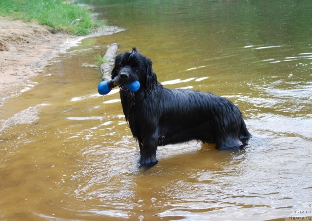 Фотография № 96966