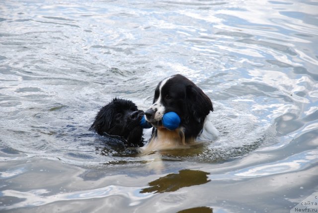 Фотография № 96967