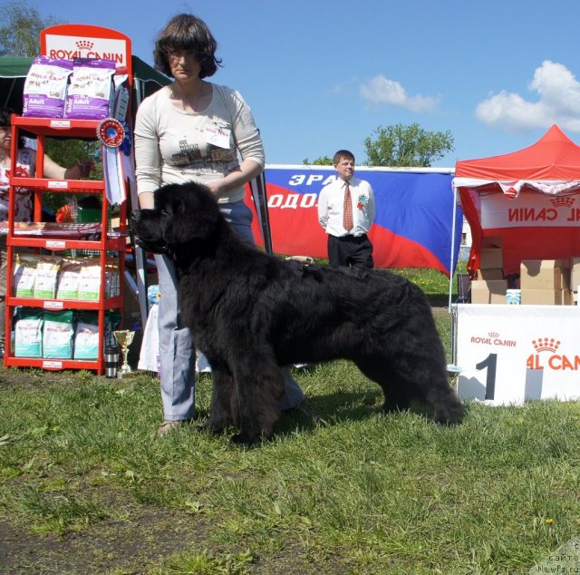 Фотография № 96993