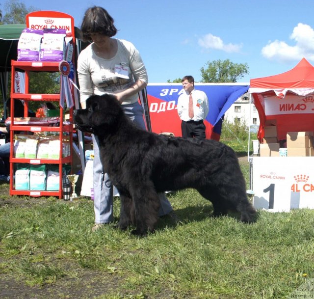 Фотография № 96994