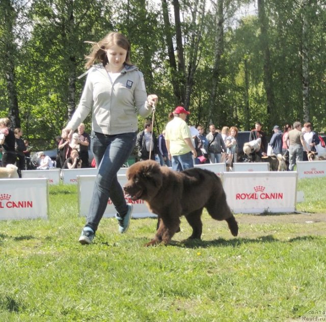 Фотография № 97003