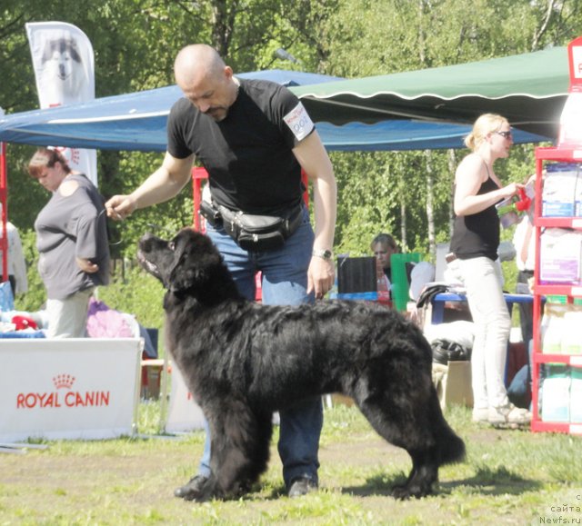 Фотография № 97007