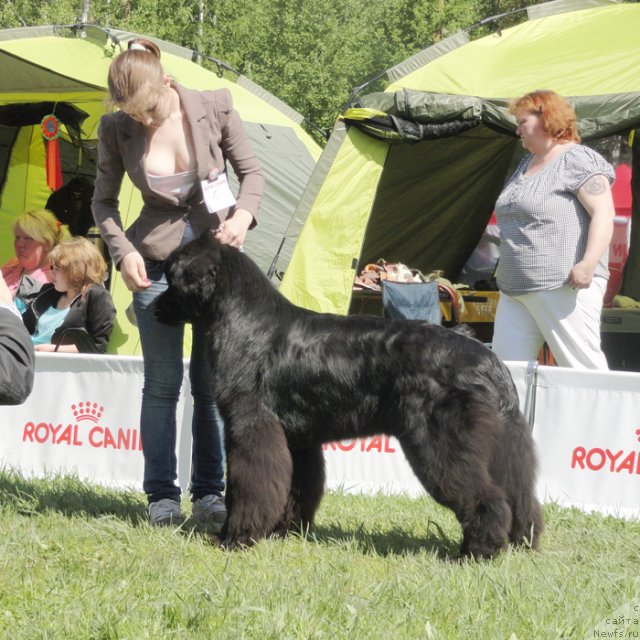 Фотография № 97015