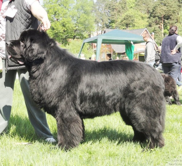 Фотография № 97022