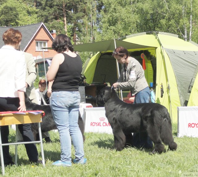 Фотография № 97037