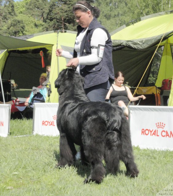 Фотография № 97041