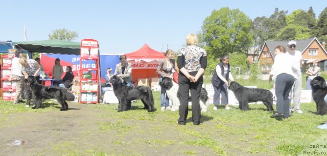 Фотография № 97045