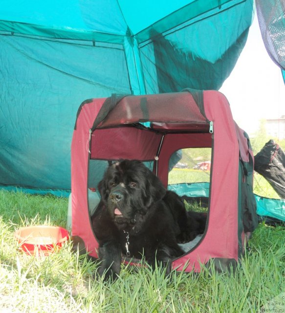 Фотография № 97060