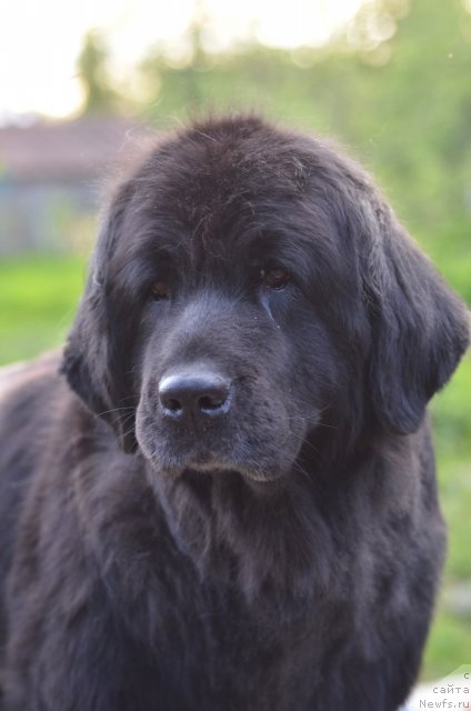 Фотография № 97067