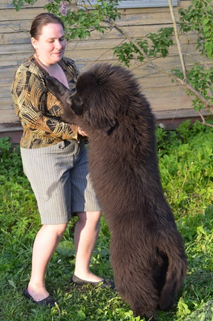 Фотография № 97072