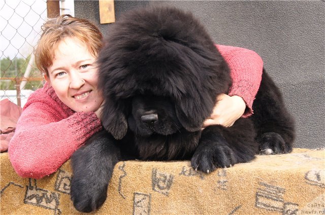 Фотография № 97091