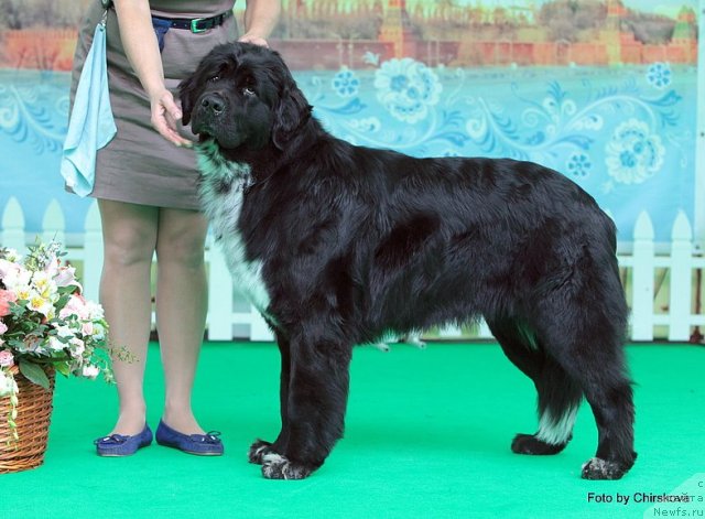 Фотография № 97094