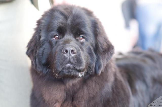 Фотография № 9710