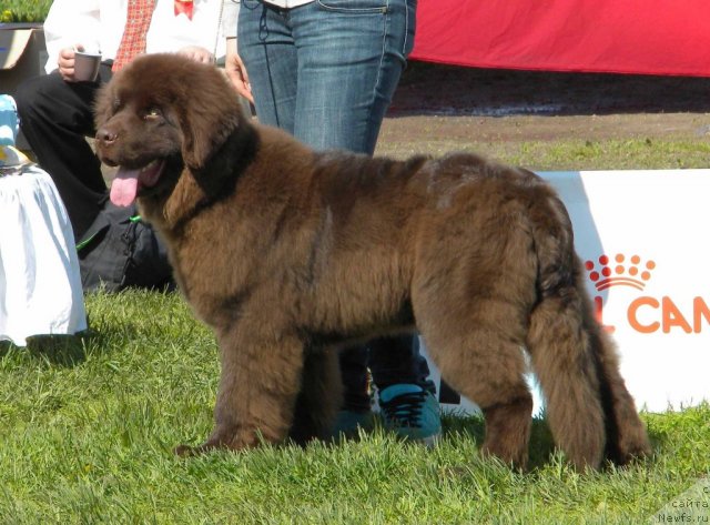 Фотография № 97115