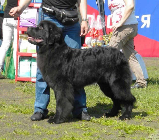 Фотография № 97117