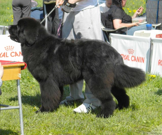 Фотография № 97119