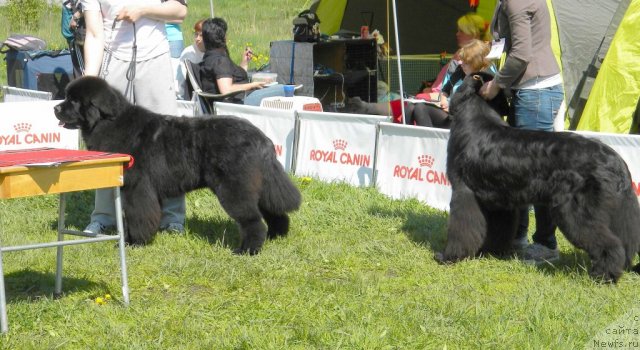 Фотография № 97122