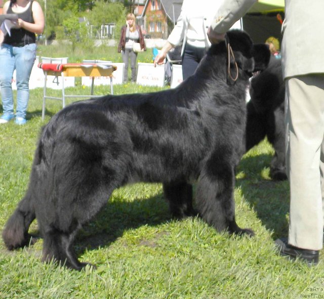 Фотография № 97124