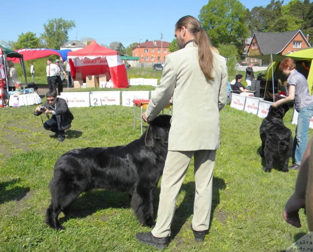 Фотография № 97125