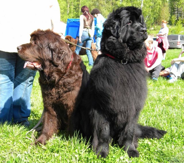 Фотография № 97126