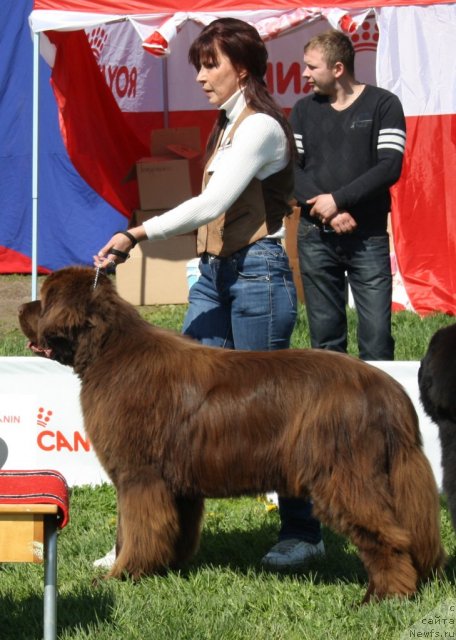 Фотография № 97156