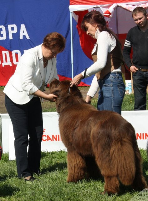 Фотография № 97158