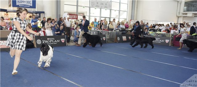 Фотография № 97170