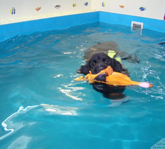 Фотография № 97174