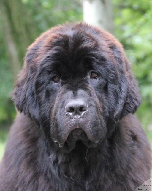 Фотография № 97179