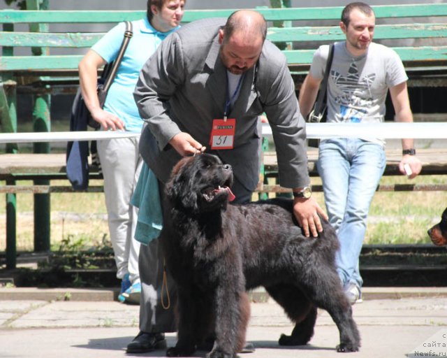 Фотография № 97180