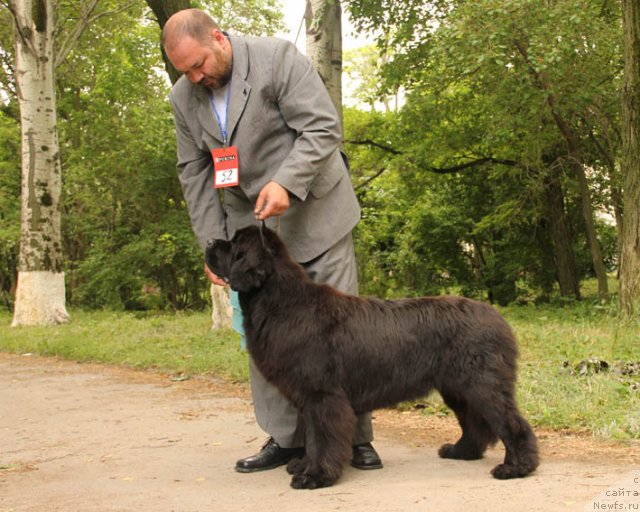 Фотография № 97182