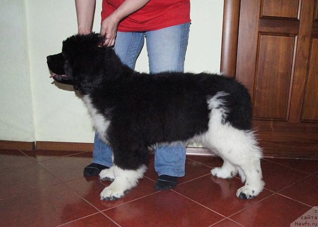 Фотография № 97198