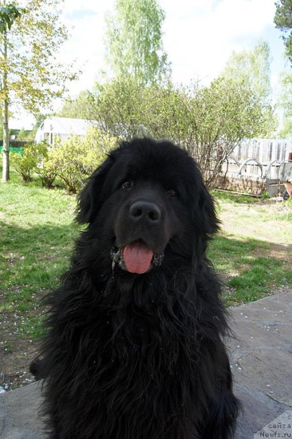 Фотография № 97208