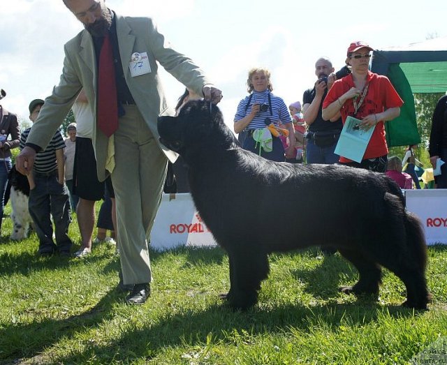 Фотография № 97217