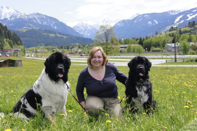 Фотография № 97231