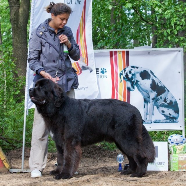 Фотография № 97248