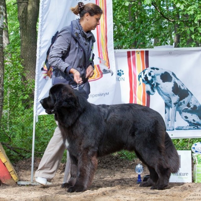 Фотография № 97249