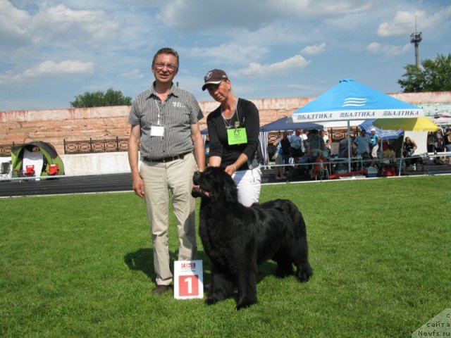 Фото: ньюфаундленд Ассоль Анжелика (Assol Anjelika)