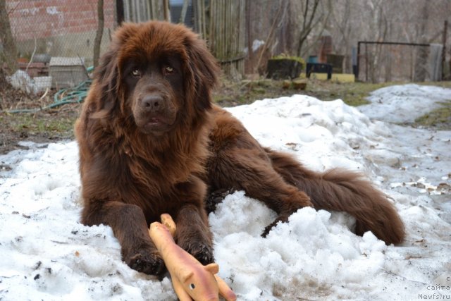 Фото: Наталия Пашкина