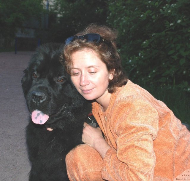 Фотография № 97287