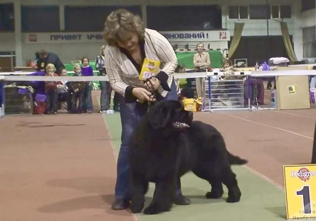 Фотография № 9735