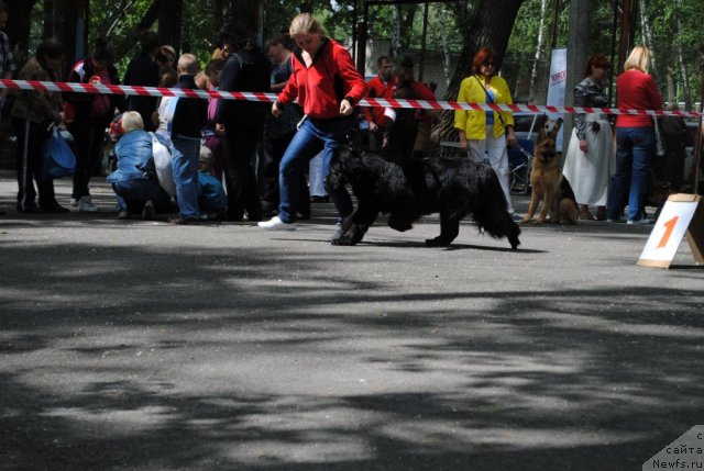 Фотография № 97414