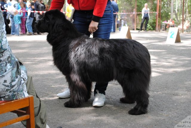 Фотография № 97415