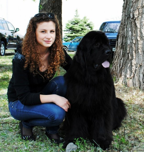 Фотография № 97416