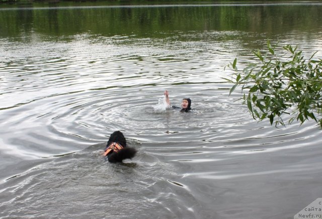 Фотография № 97432