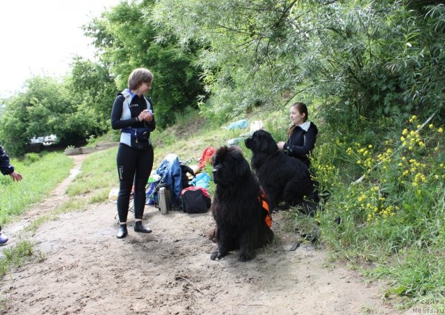 Фотография № 97442