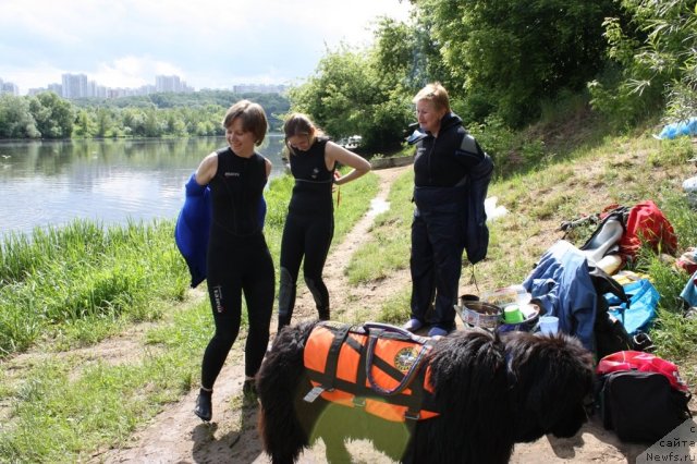 Фотография № 97443