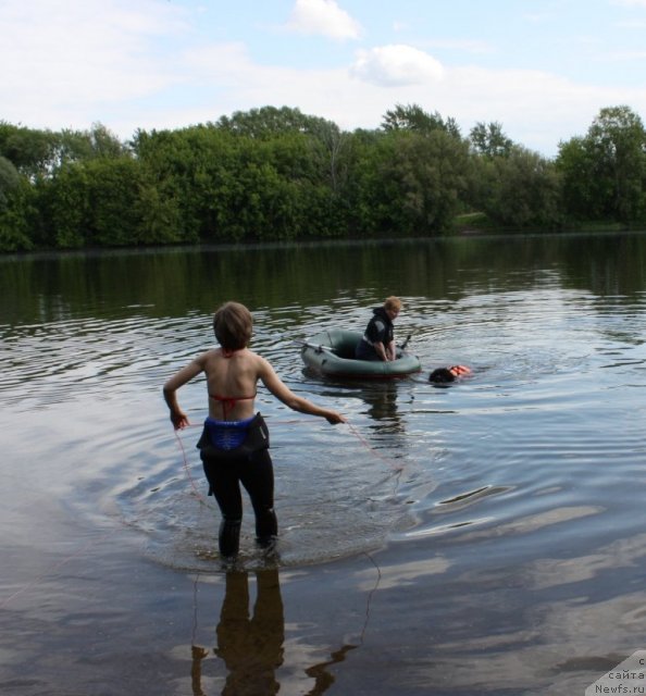 Фотография № 97444