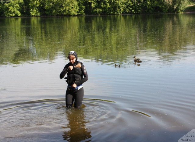 Фотография № 97445