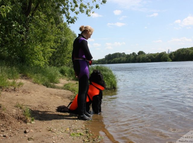 Фотография № 97450